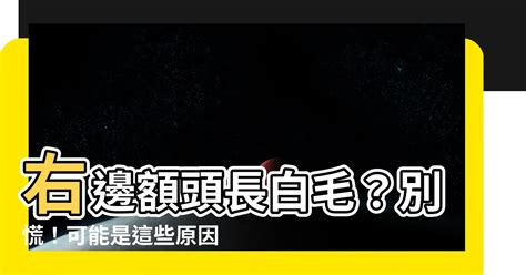 額頭長白毛可以拔嗎